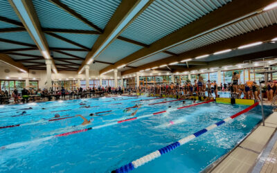 29. Frankfurter Pokalschwimmen in Frankfurt-Höchst am 17.-18. Oktober 2026
