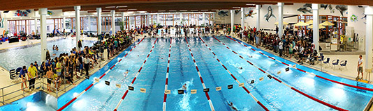 16. Frankfurter Pokalschwimmen in Frankfurt am 10.September 2011